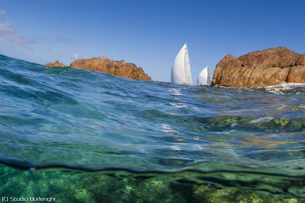 Maxi Yacht Rolex Cup